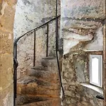 Moyvannan Castle On 7 Acres * Roscommon