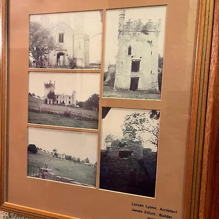 Moyvannan Castle On 7 Acres Roscommon