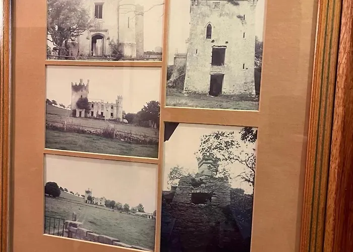 Moyvannan Castle On 7 Acres Roscommon