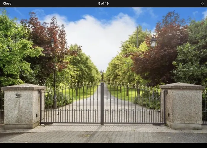 Moyvannan Castle On 7 Acres